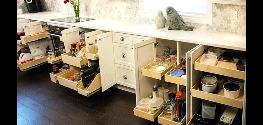 Pull-Out & Roll-Out Cabinets  Kitchen Cabinet Storage Ideas